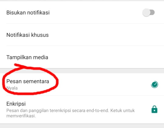 Cara Mengaktifkan Pesan Sementara di Whatsapp