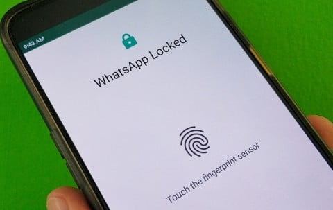 Cara Membuka WA yang Terkunci Sidik Jari Dengan Mudah