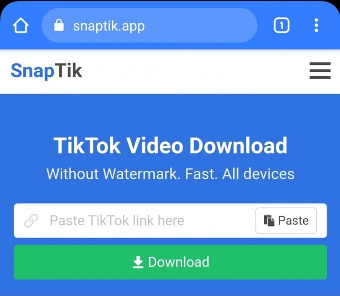 pengunduh tiktok tanpa watermark