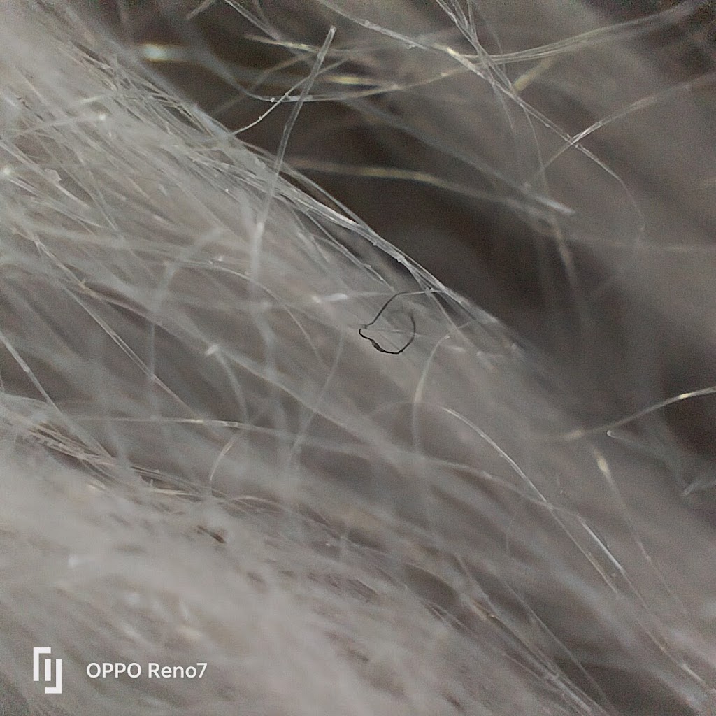 XMOZBw fzD06dRwn3Q7Zf tkgkuVn39C1Qbet1ZS4fL7Eoici1Oo 2 L0aEBmr0lYcs oFA7VOskp1nQ5fGDs4G STRGtLgNEFHjGVgcUbt3p7Bef2f2fbdf