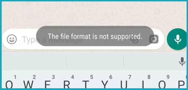 Mengatasi Format File Tidak Didukung WA