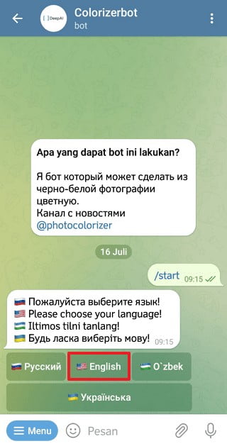 Cara Ubah Foto Hitam Putih Menjadi Berwarna di Telegram