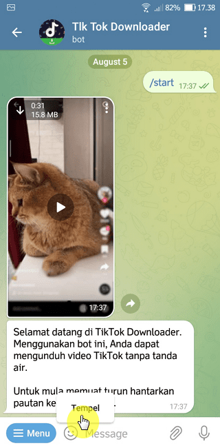 Screenshot 20220805 173806 Cara Download Video TikTok Tanpa Watermark di Telegram 7 Screenshot 20220805 173806